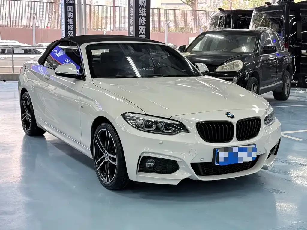 BMW 2 Series (Import) 2021 из CN, фото 3