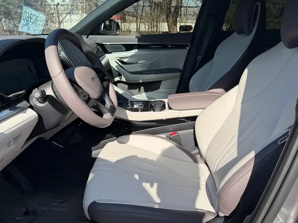 BYD PLUS New Energy 2025 из CN, фото 9