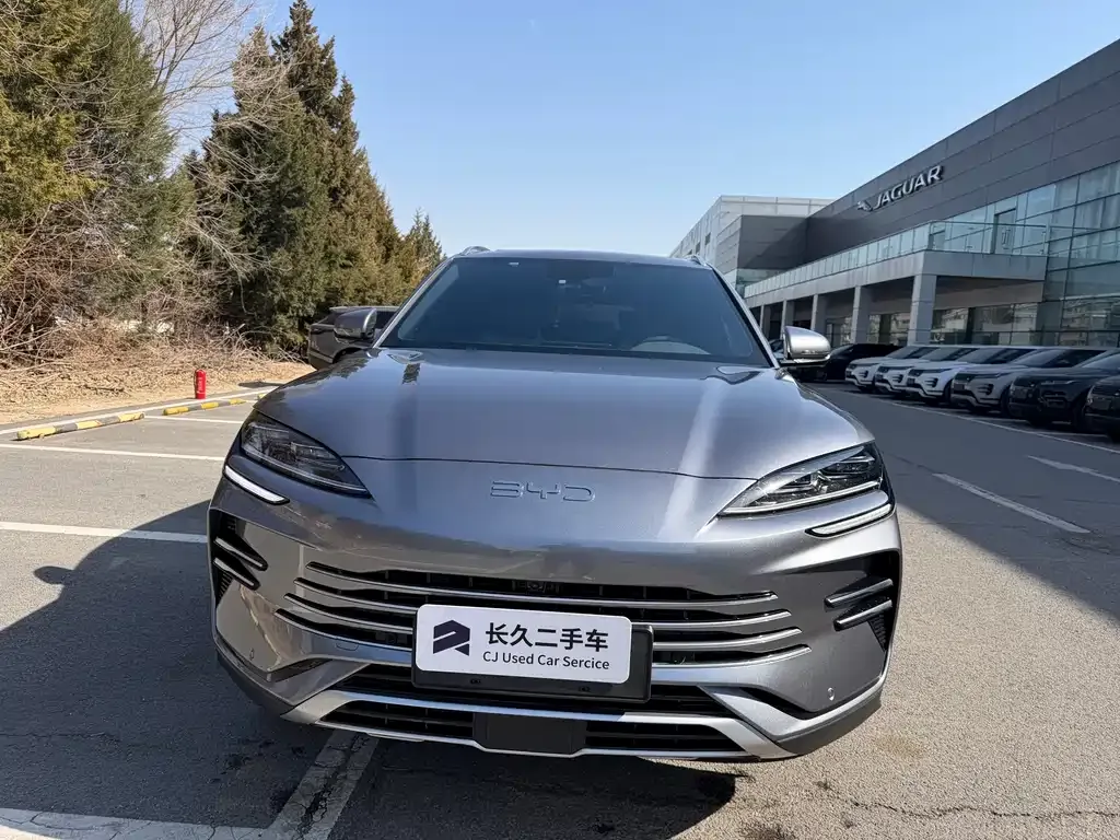 BYD PLUS New Energy 2025 из CN, фото 7