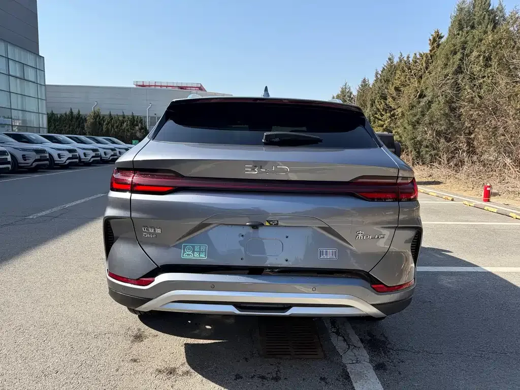 BYD PLUS New Energy 2025 из CN, фото 10