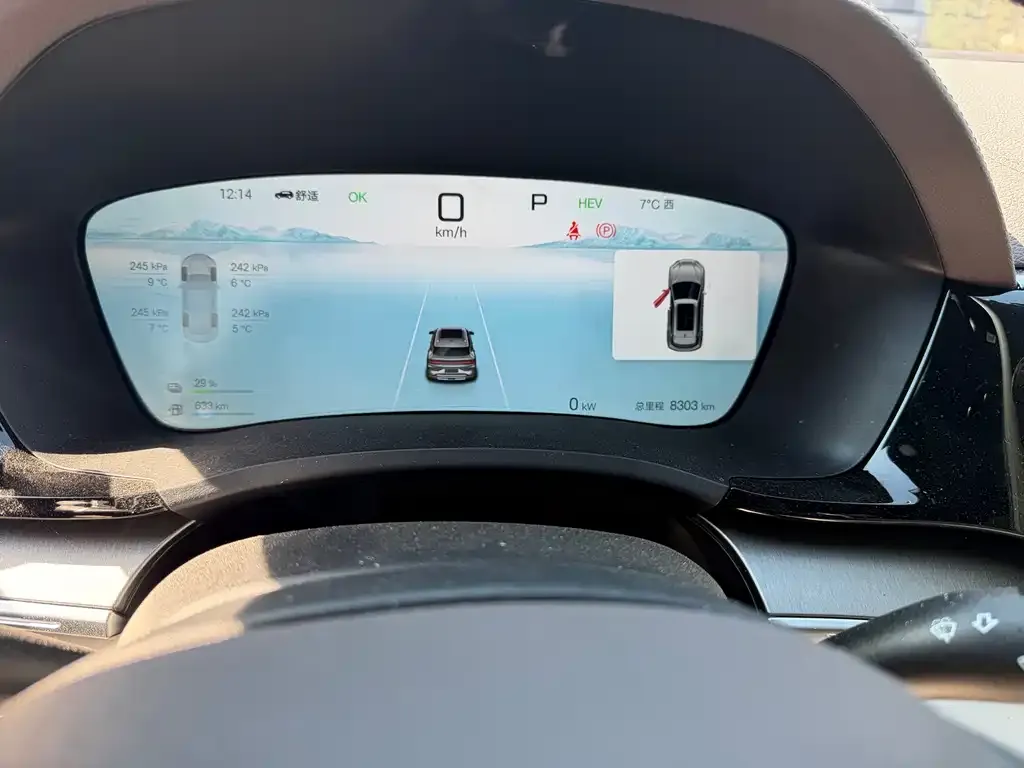 BYD PLUS New Energy 2025 из CN, фото 3