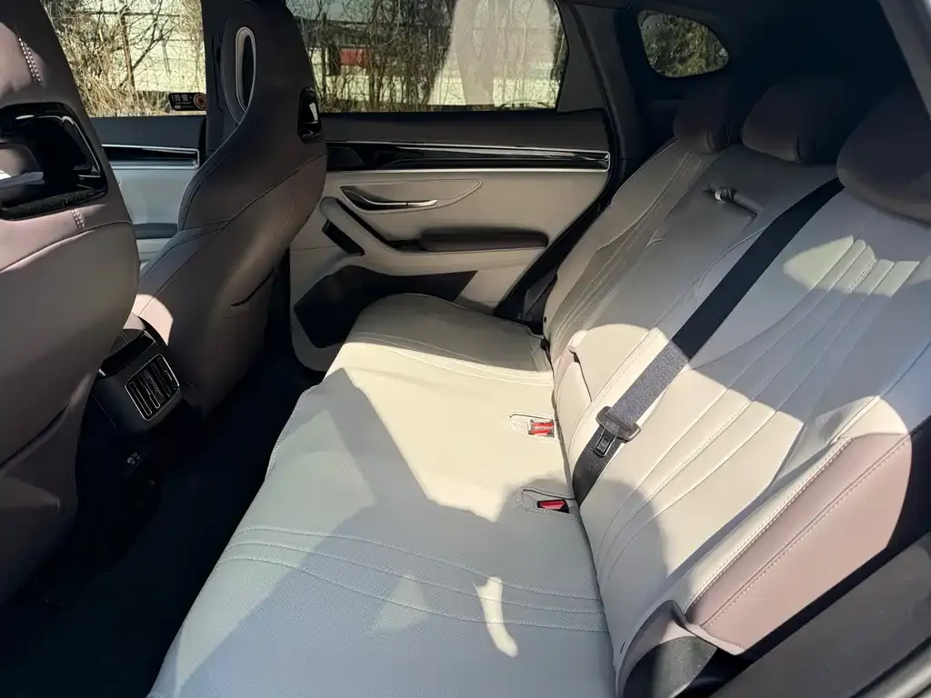 BYD PLUS New Energy 2025 из CN, фото 4