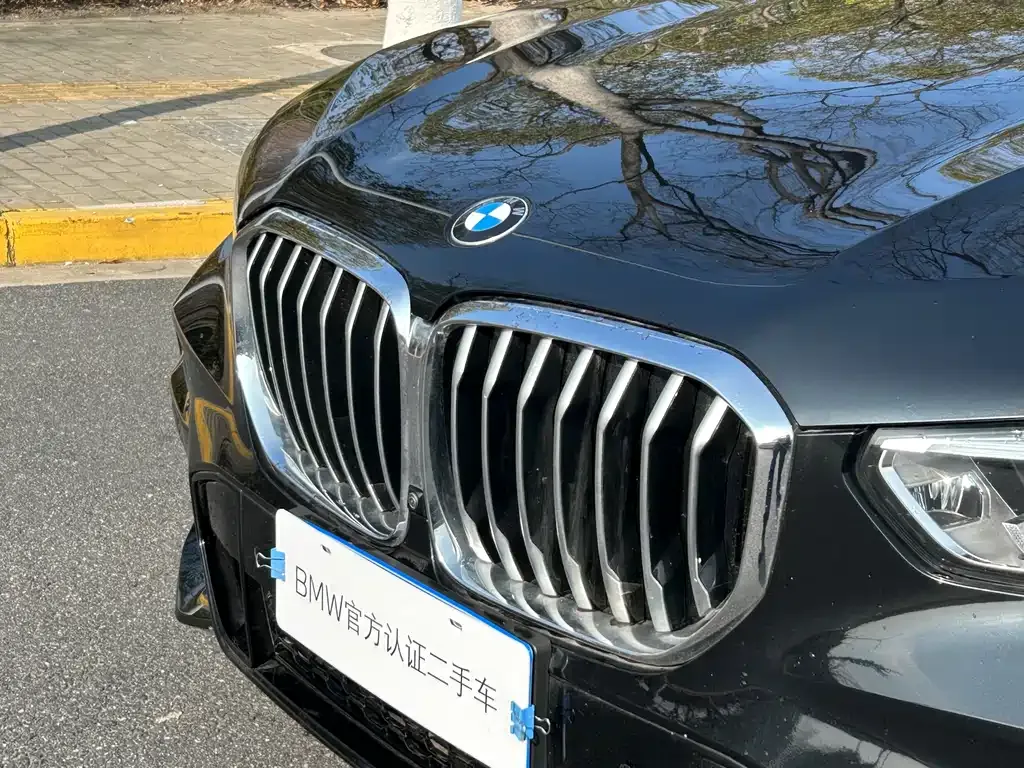BMW X5 (Import) — фото 10