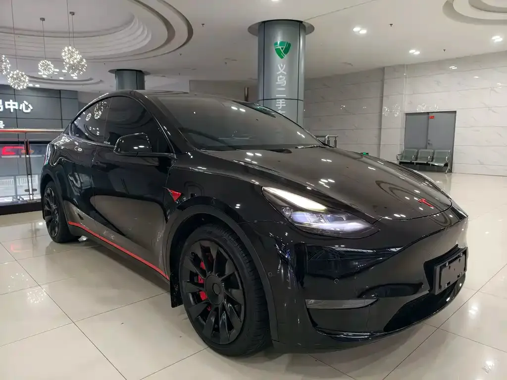 Tesla Model Y — фото 1