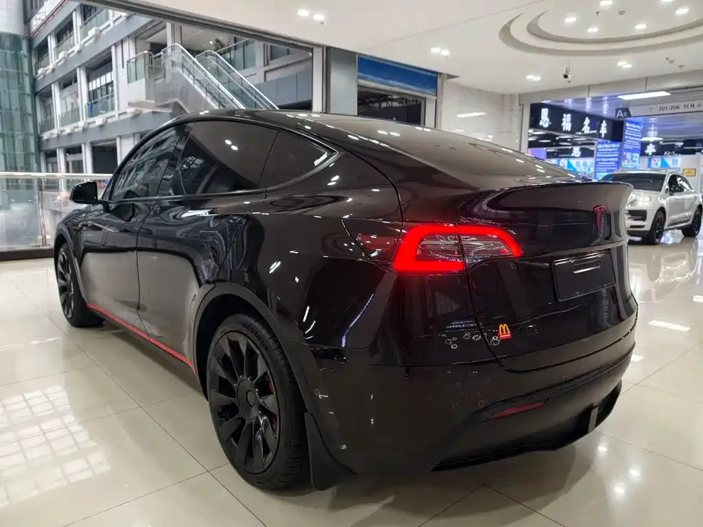 Tesla Model Y — фото 10