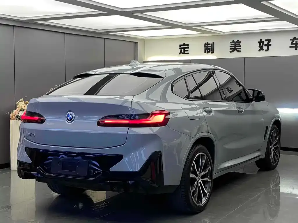 BMW X4 2023 из CN, фото 4