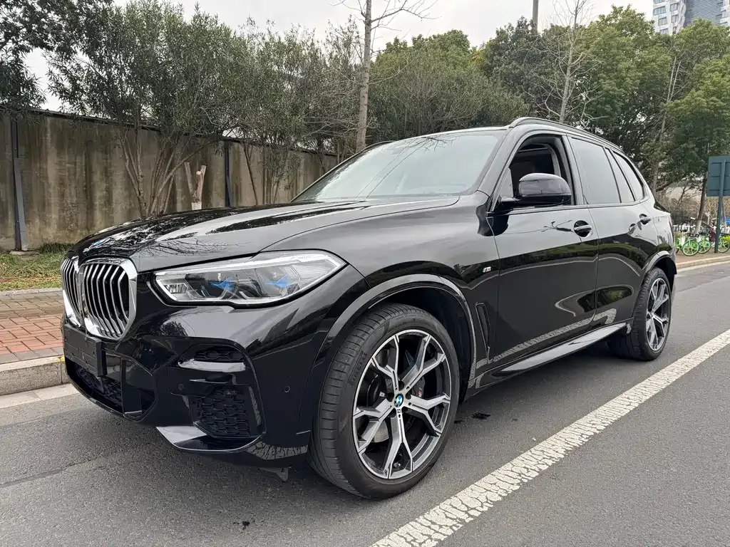 BMW X5 (Import) — фото 1