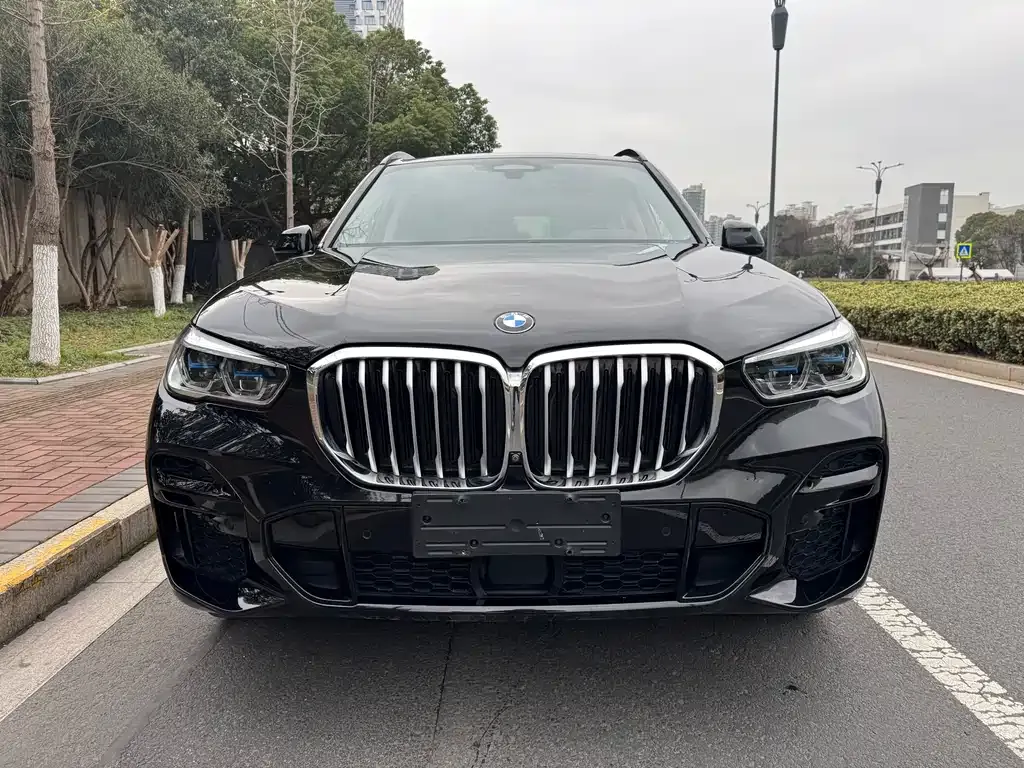 BMW X5 (Import) — фото 6