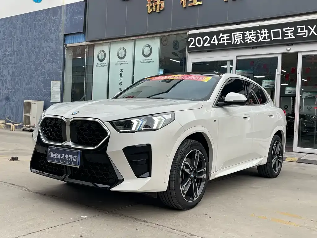 BMW X2 (Import) 2024 из CN, фото 8