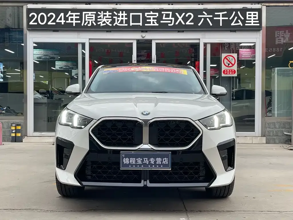 BMW X2 (Import) 2024 из CN, фото 5