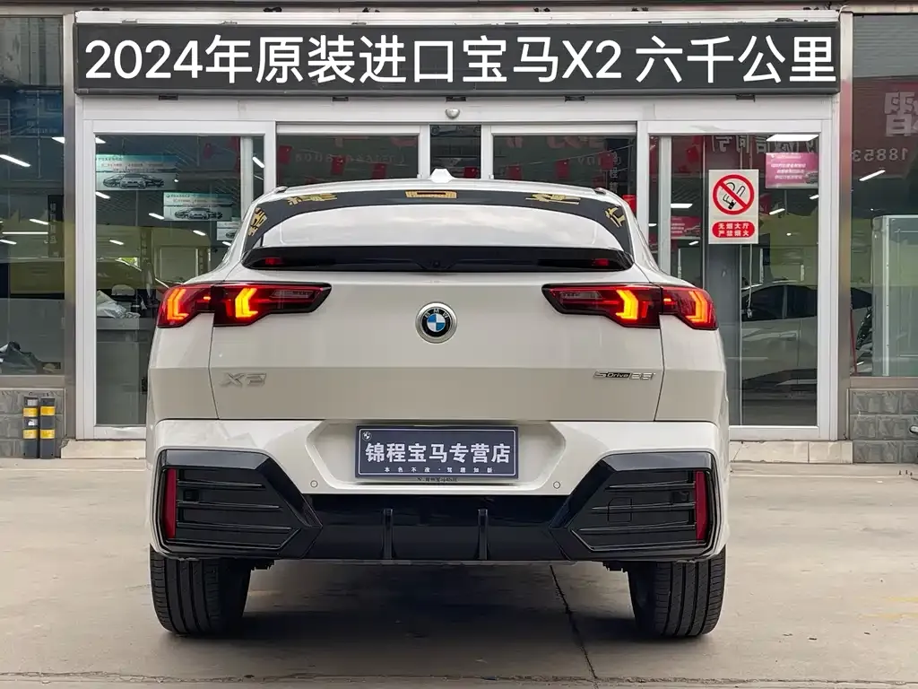 BMW X2 (Import) 2024 из CN, фото 9