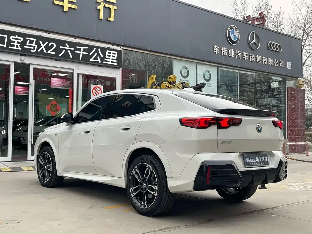 BMW X2 (Import) 2024 из CN, фото 7