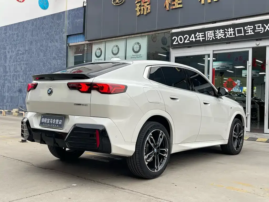 BMW X2 (Import) 2024 из CN, фото 10