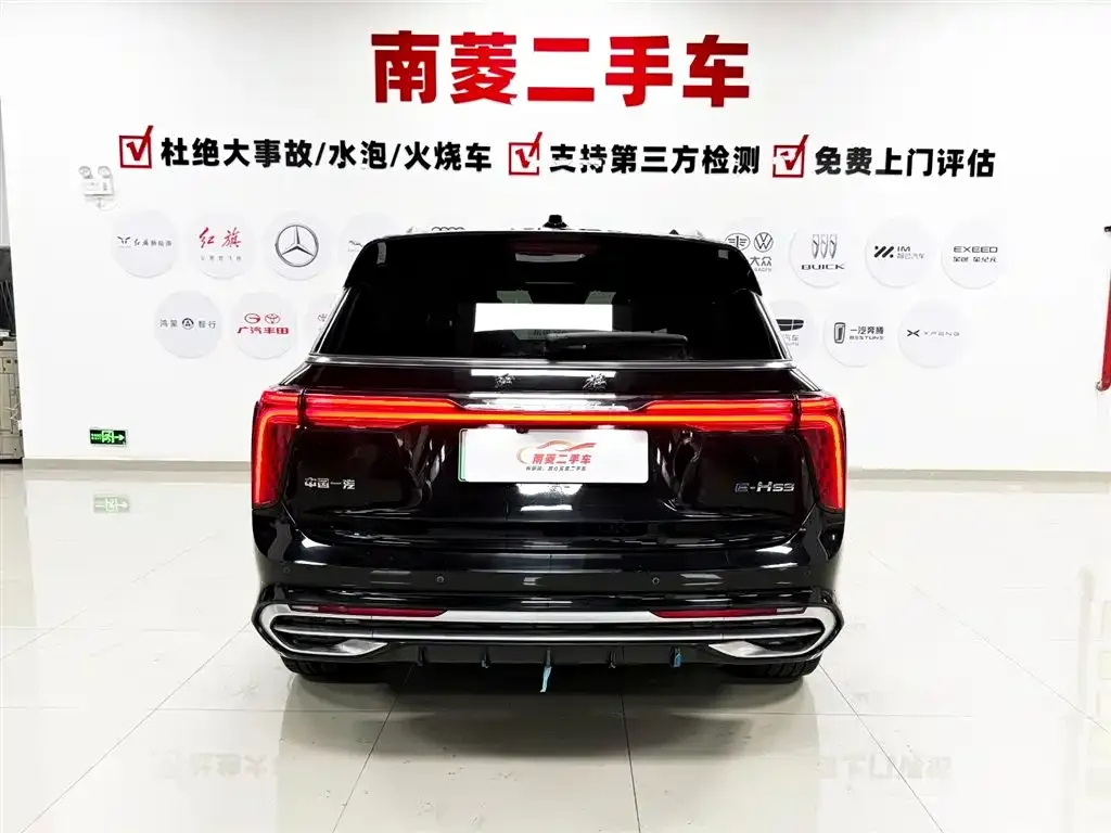Hongqi E-HS9 2023 из CN, фото 4