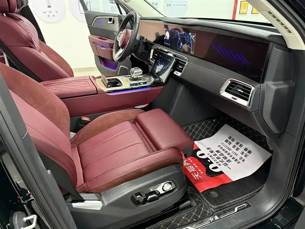 Hongqi E-HS9 2023 из CN, фото 10