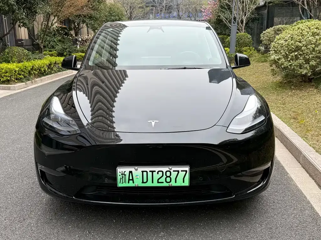 Tesla Model Y 2023 из CN, фото 8