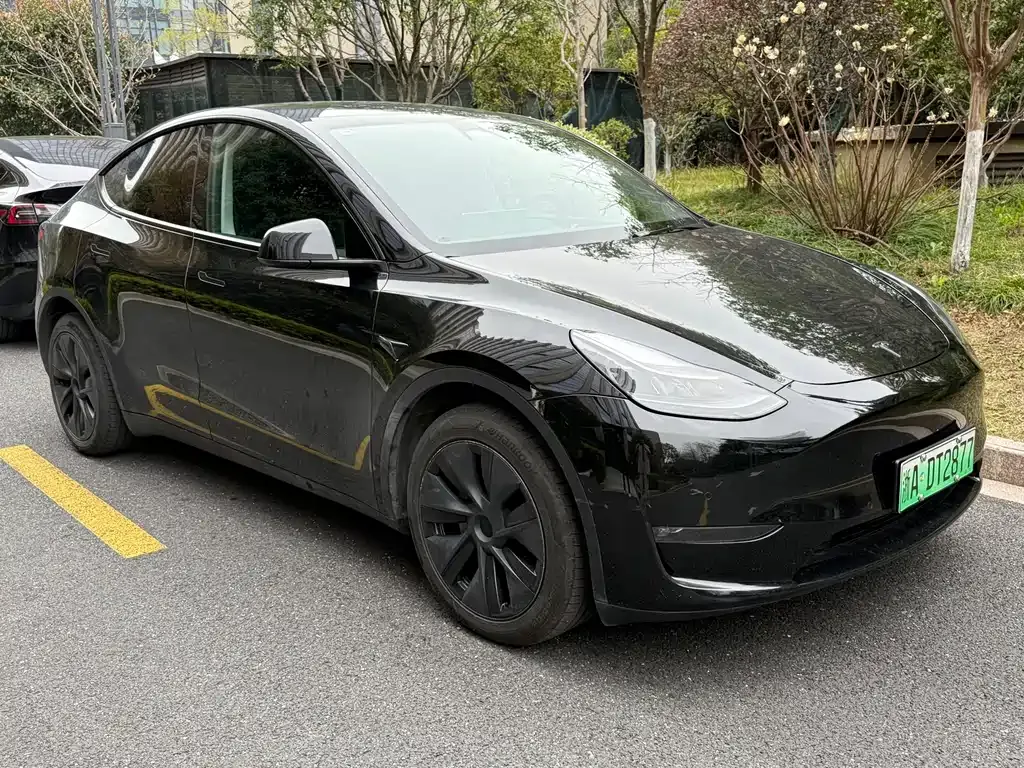 Tesla Model Y 2023 из CN, фото 6