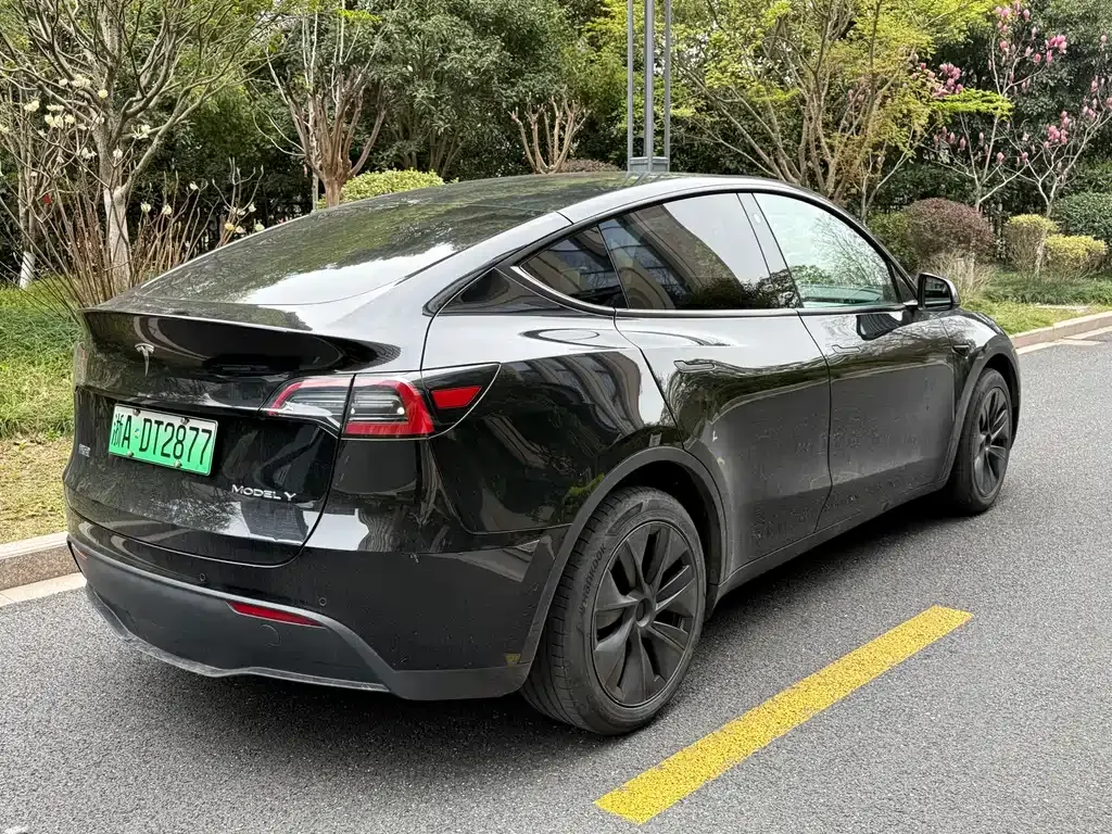 Tesla Model Y 2023 из CN, фото 9