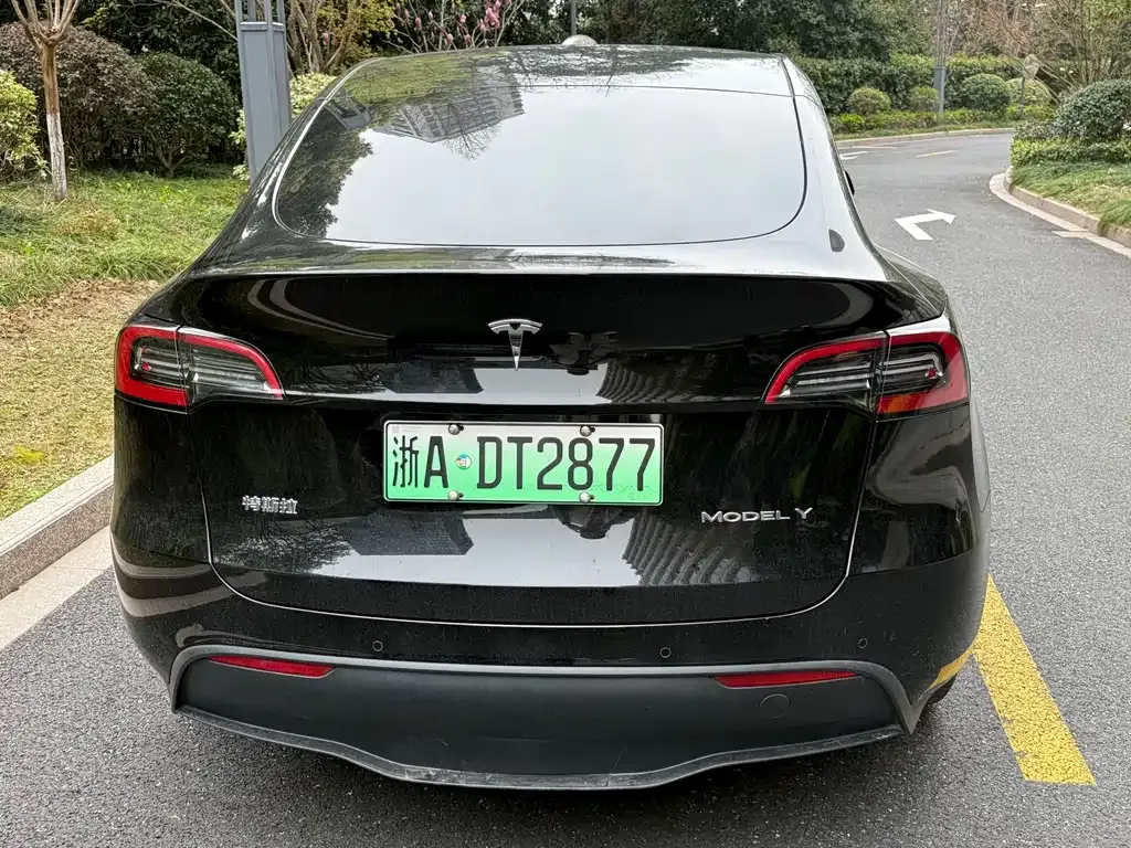 Tesla Model Y 2023 из CN, фото 7