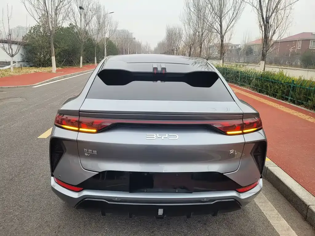 BYD L EV 2024 из CN, фото 4
