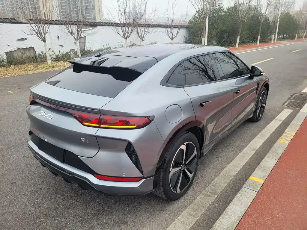 BYD L EV 2024 из CN, фото 7
