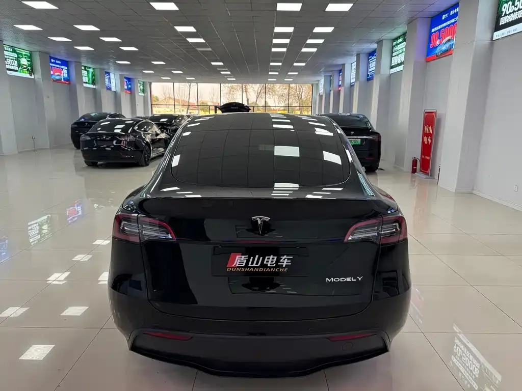 Tesla Model Y — фото 2