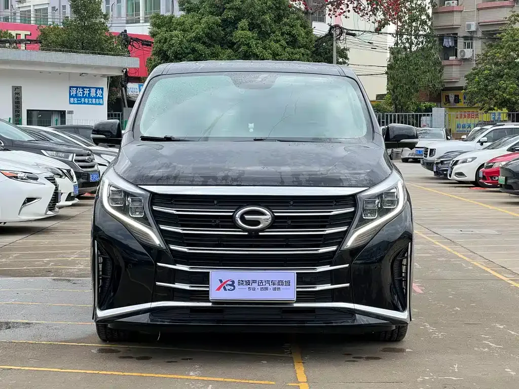GAC Motor Trumpchi M8 2021 из CN, фото 8