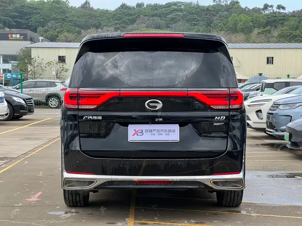 GAC Motor Trumpchi M8 2021 из CN, фото 5