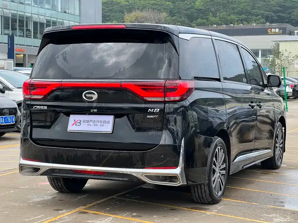 GAC Motor Trumpchi M8 2021 из CN, фото 7