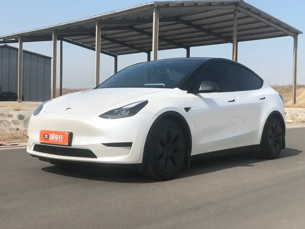 Tesla Model Y — фото 1