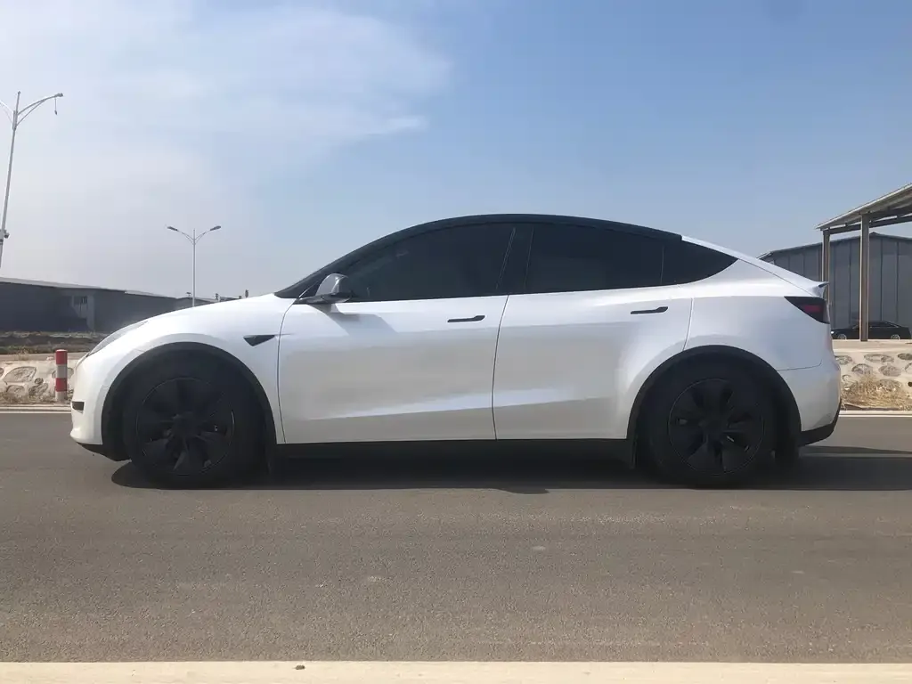 Tesla Model Y — фото 10