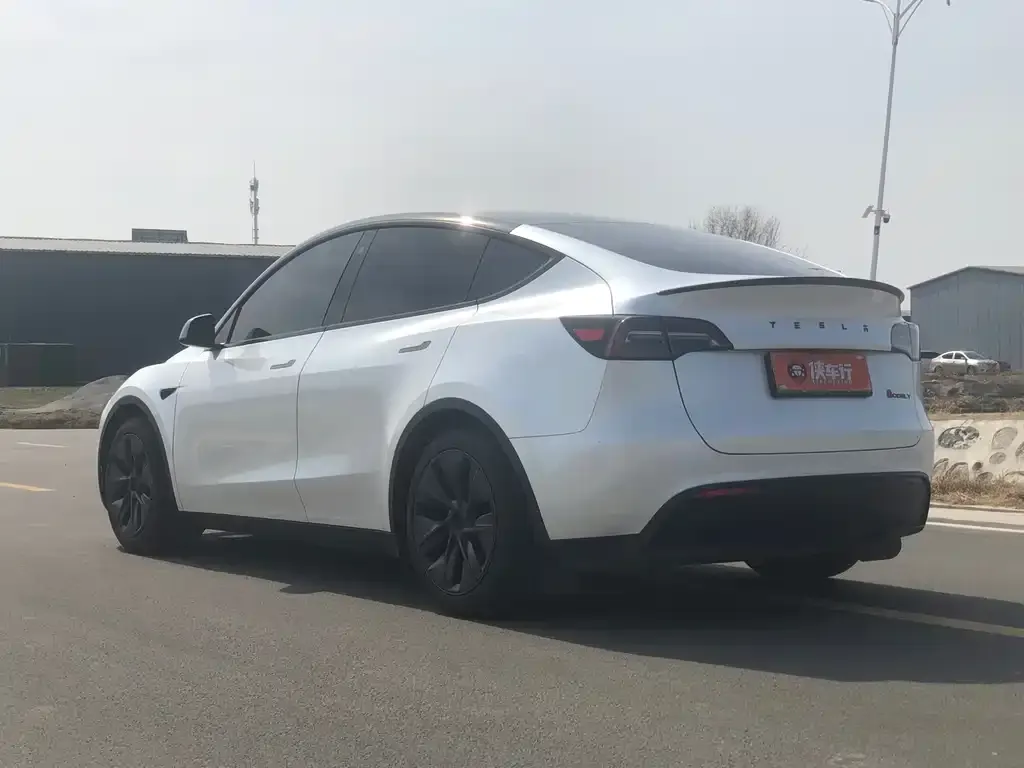 Tesla Model Y — фото 2