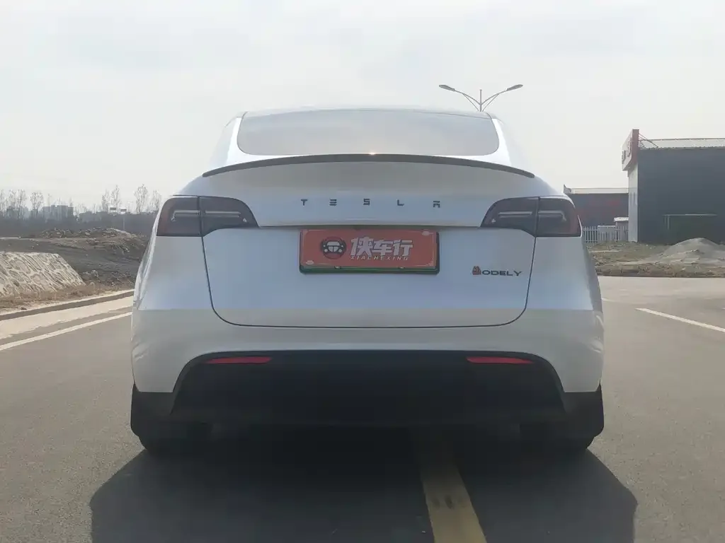 Tesla Model Y — фото 4