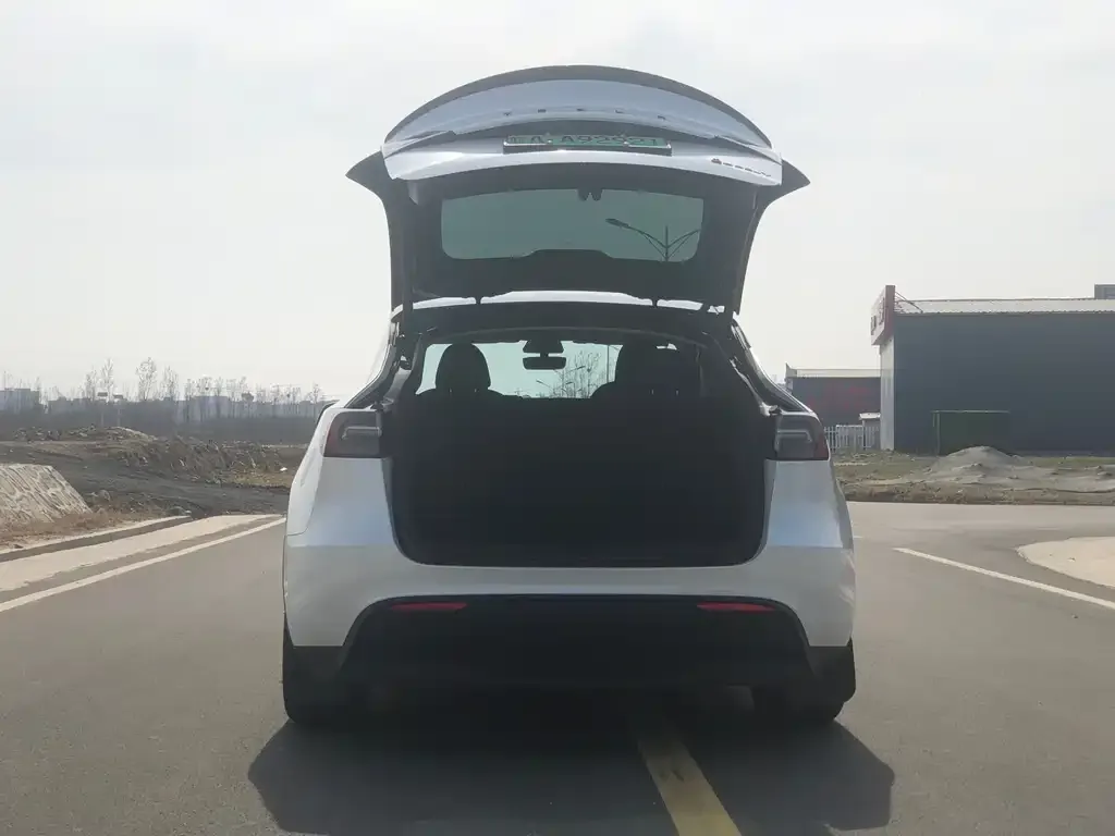 Tesla Model Y — фото 7