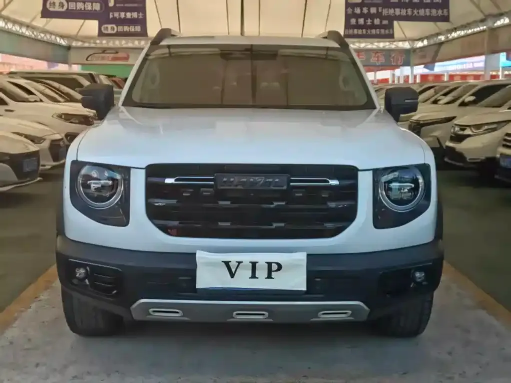 Haval Big Dog 2023 из CN, фото 3
