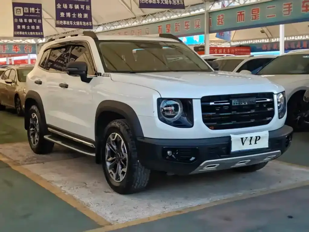 Haval Big Dog 2023 из CN, фото 5