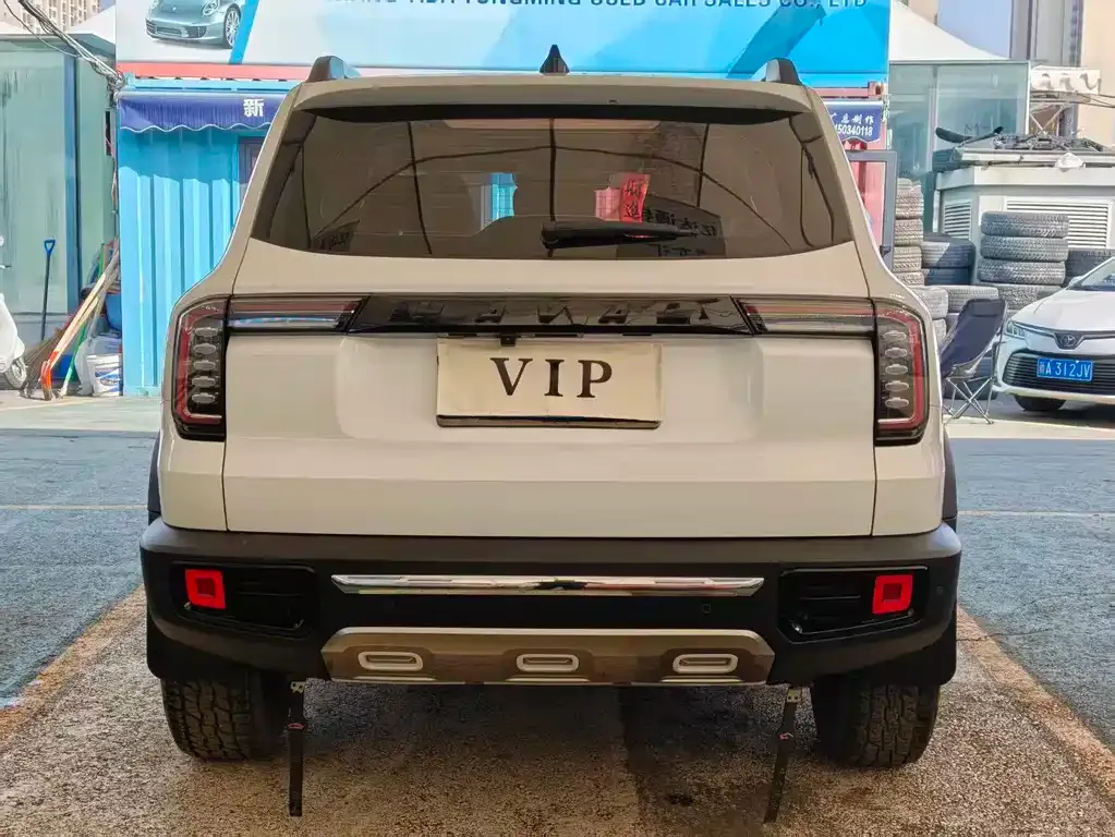 Haval Big Dog 2023 из CN, фото 4