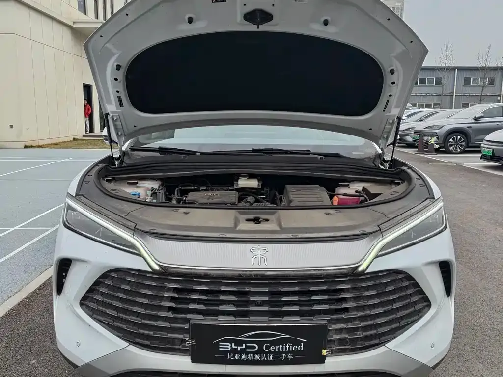 BYD L DM-i — фото 2