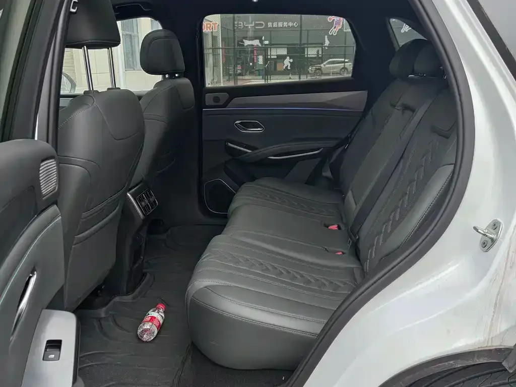 BYD L DM-i — фото 7