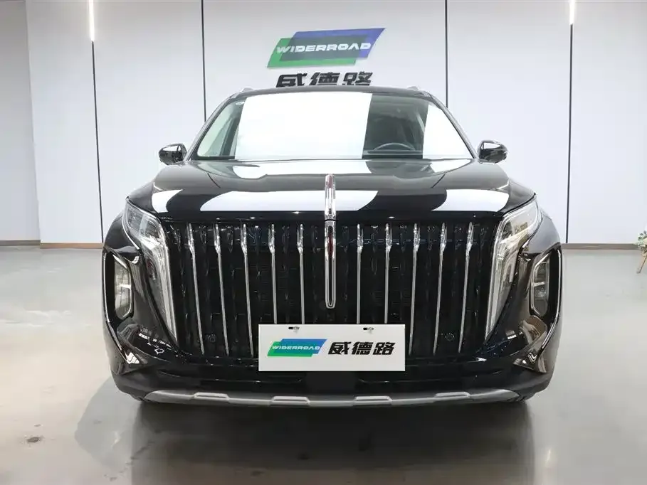Hongqi HS7 PHEV 2024 из CN, фото 10