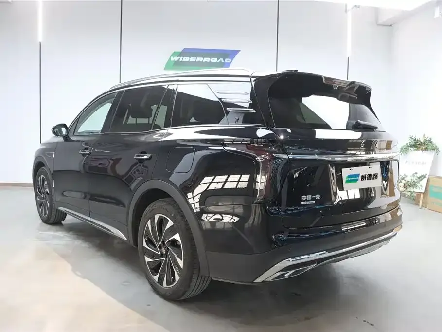 Hongqi HS7 PHEV 2024 из CN, фото 6