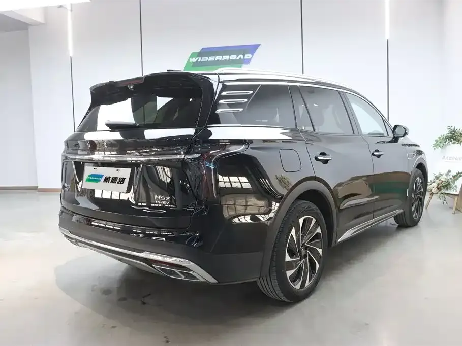 Hongqi HS7 PHEV 2024 из CN, фото 7