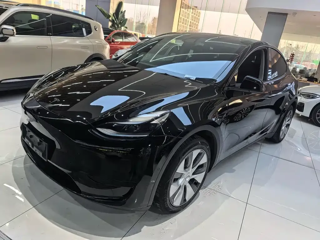 Tesla Model Y 2022 из CN, фото 1