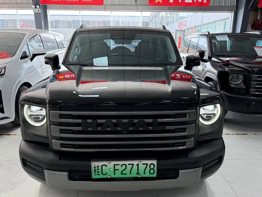 Haval Menglong New Energy 2023 из CN, фото 5