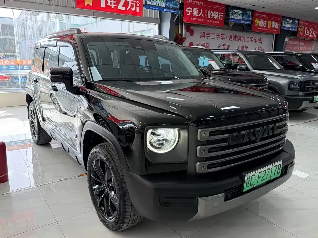 Haval Menglong New Energy 2023 из CN, фото 8