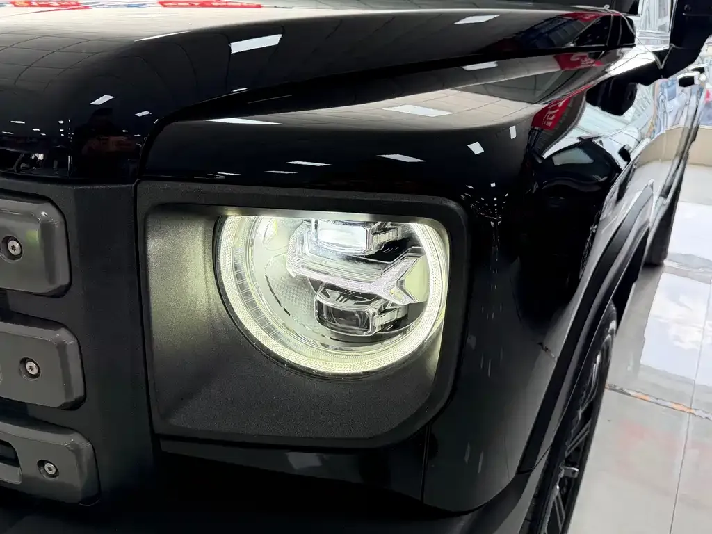 Haval Menglong New Energy 2023 из CN, фото 2