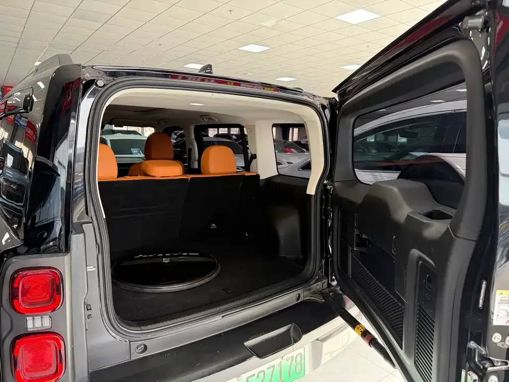 Haval Menglong New Energy 2023 из CN, фото 9