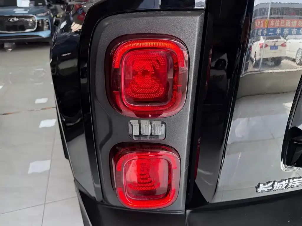 Haval Menglong New Energy 2023 из CN, фото 6