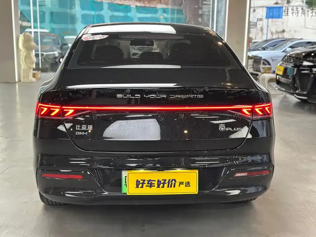 BYD Qin PLUS — фото 6