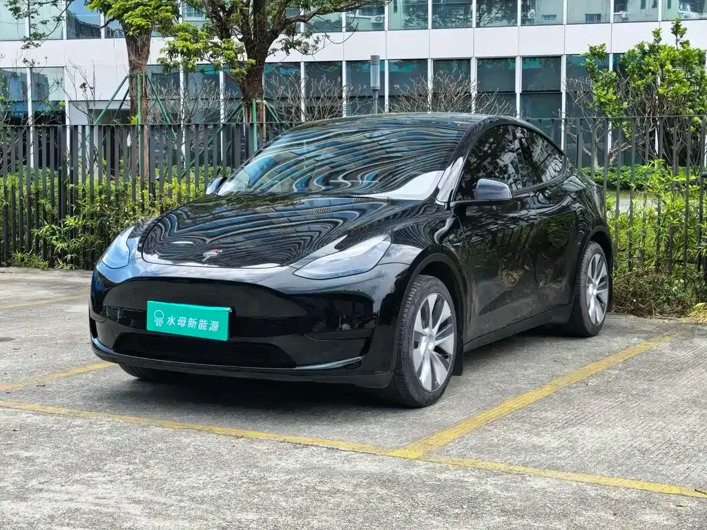 Tesla Model Y 2023 из CN, фото 1